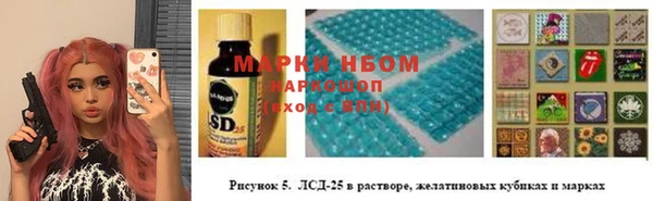 СК Белокуриха
