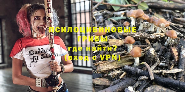 СК Белокуриха